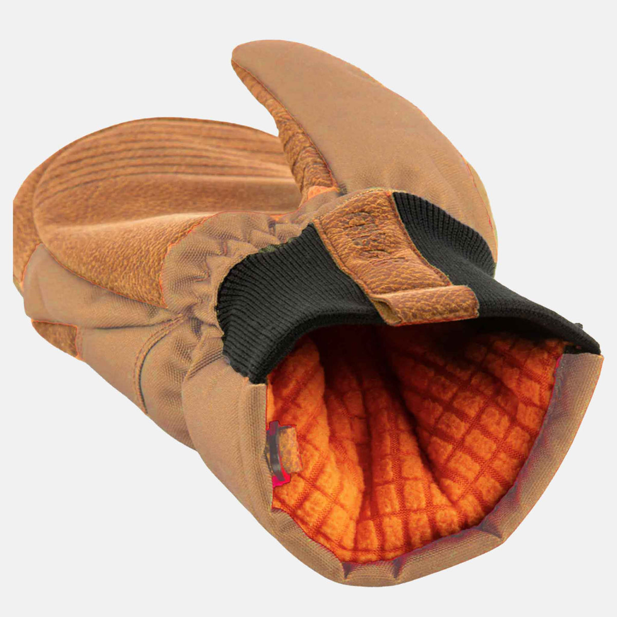 Champ Mitt | Desert