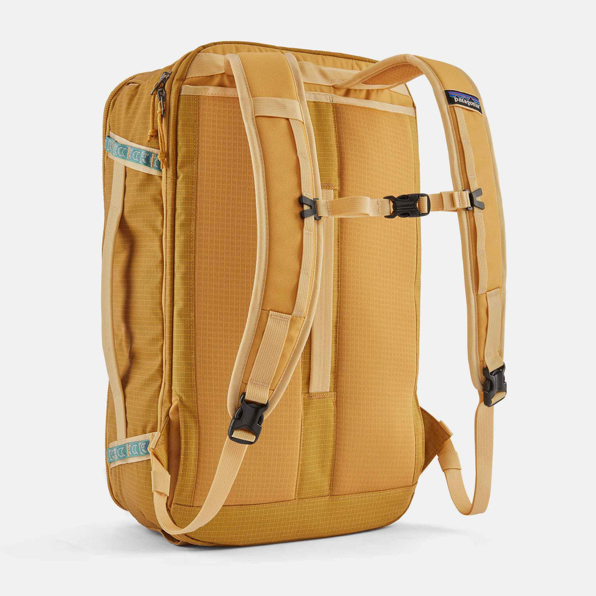 Black Hole Mini MLC | PFGD