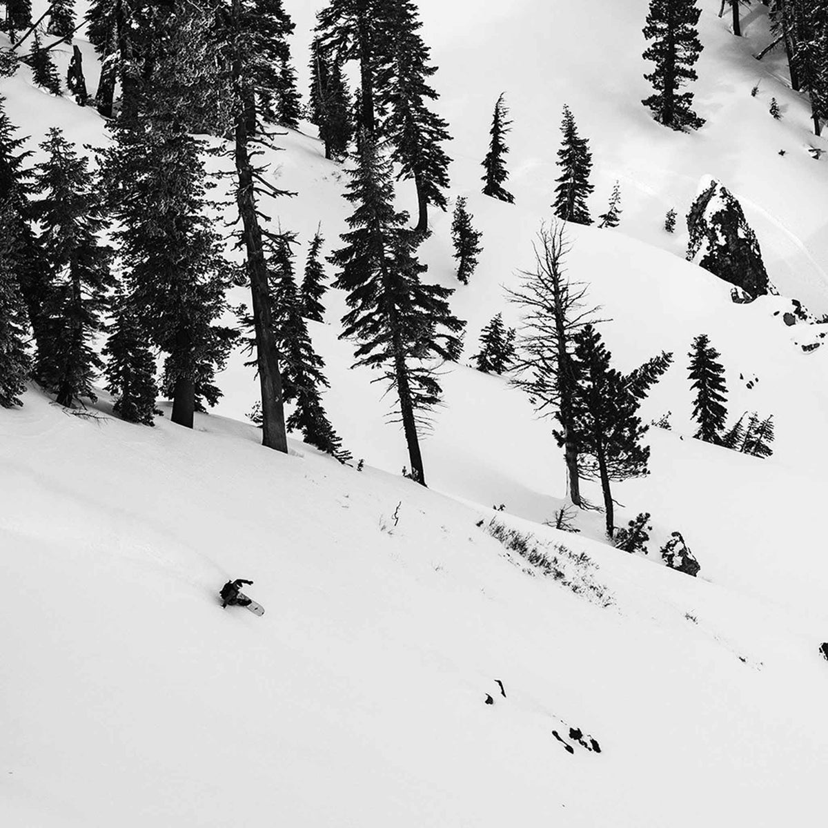 Transition Finder Splitboard Brushed