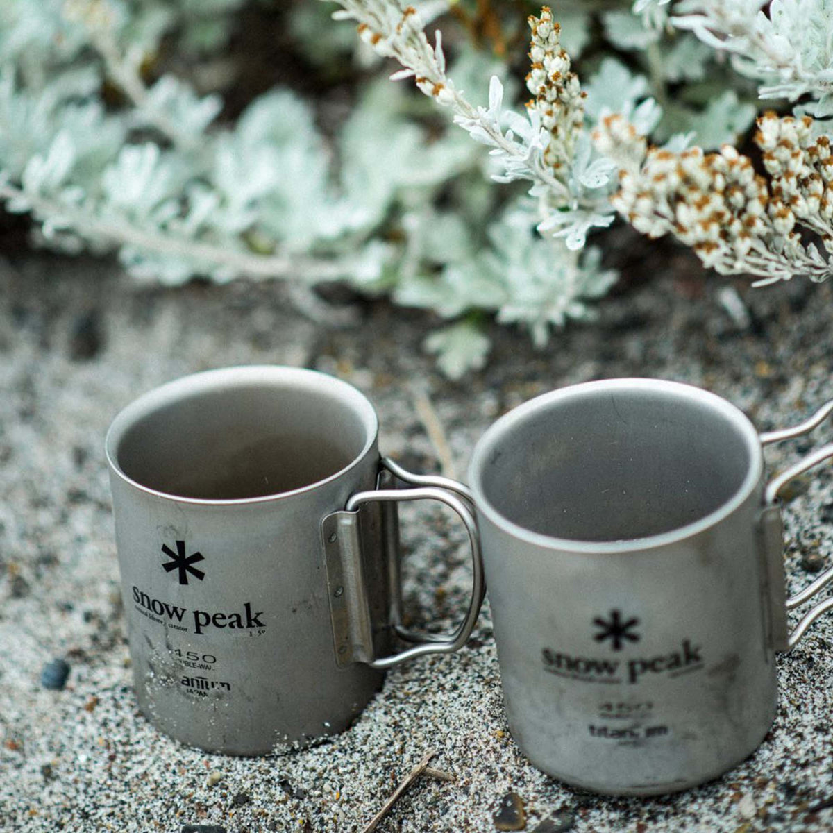 Titanium Single Cup 300